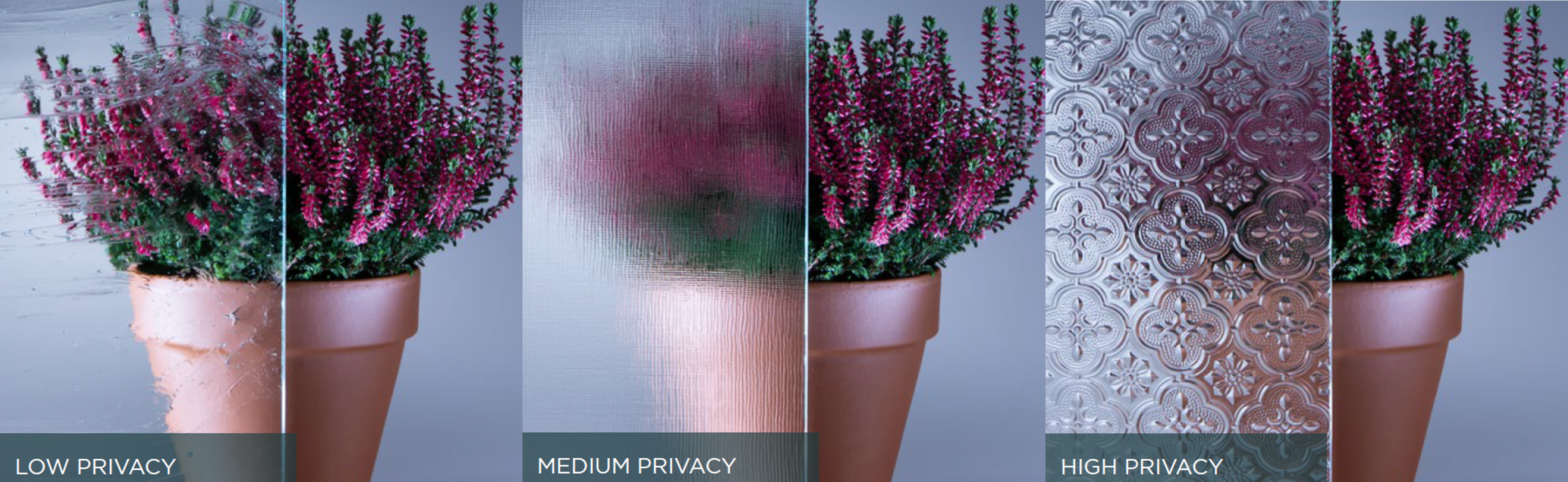 decorglass privacy