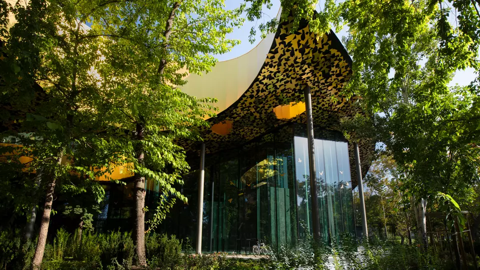 HOUSE-OF-MUSIC-3