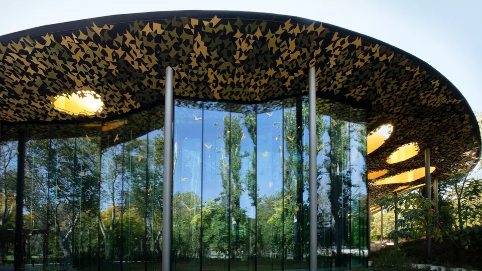 HOUSE-OF-MUSIC-2