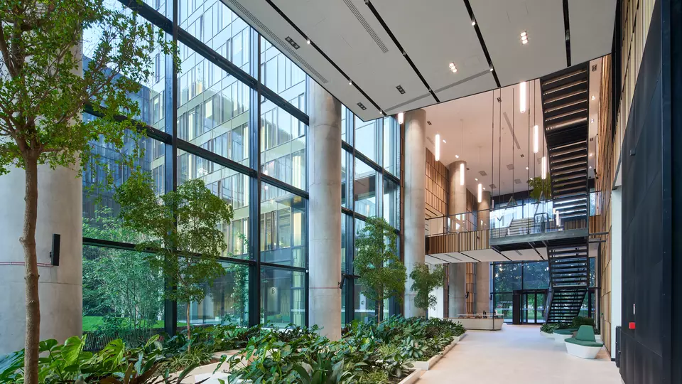 Forest_campus-2