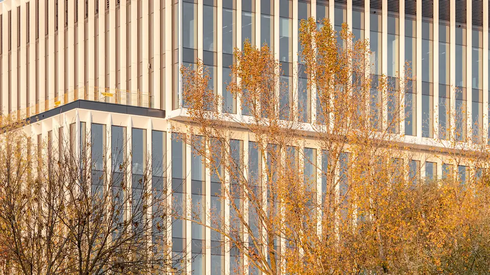 LakeSide_Office2